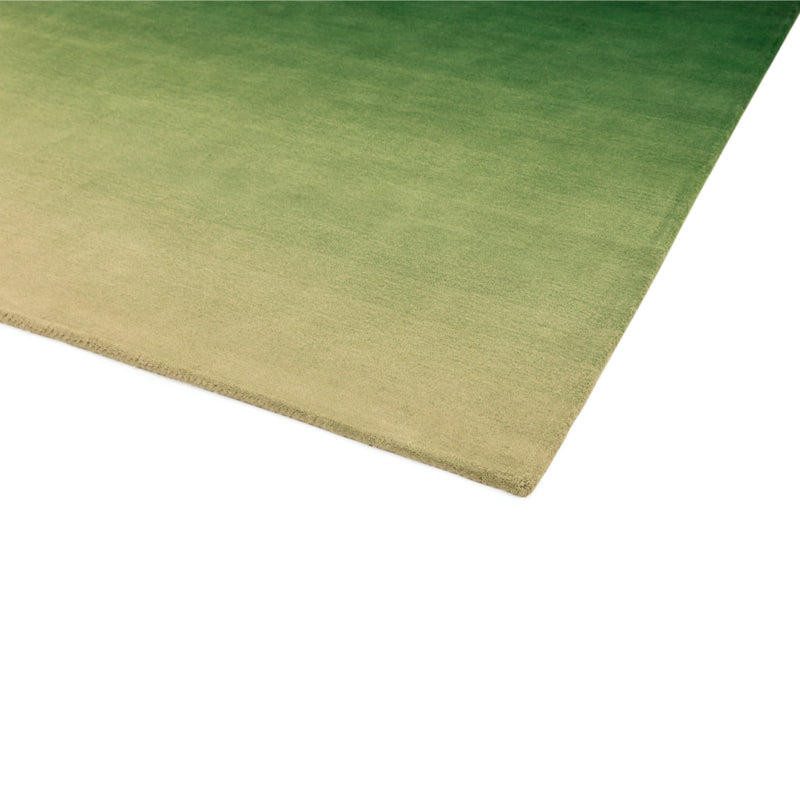 Asiatic Ombre OM04 Green Rug