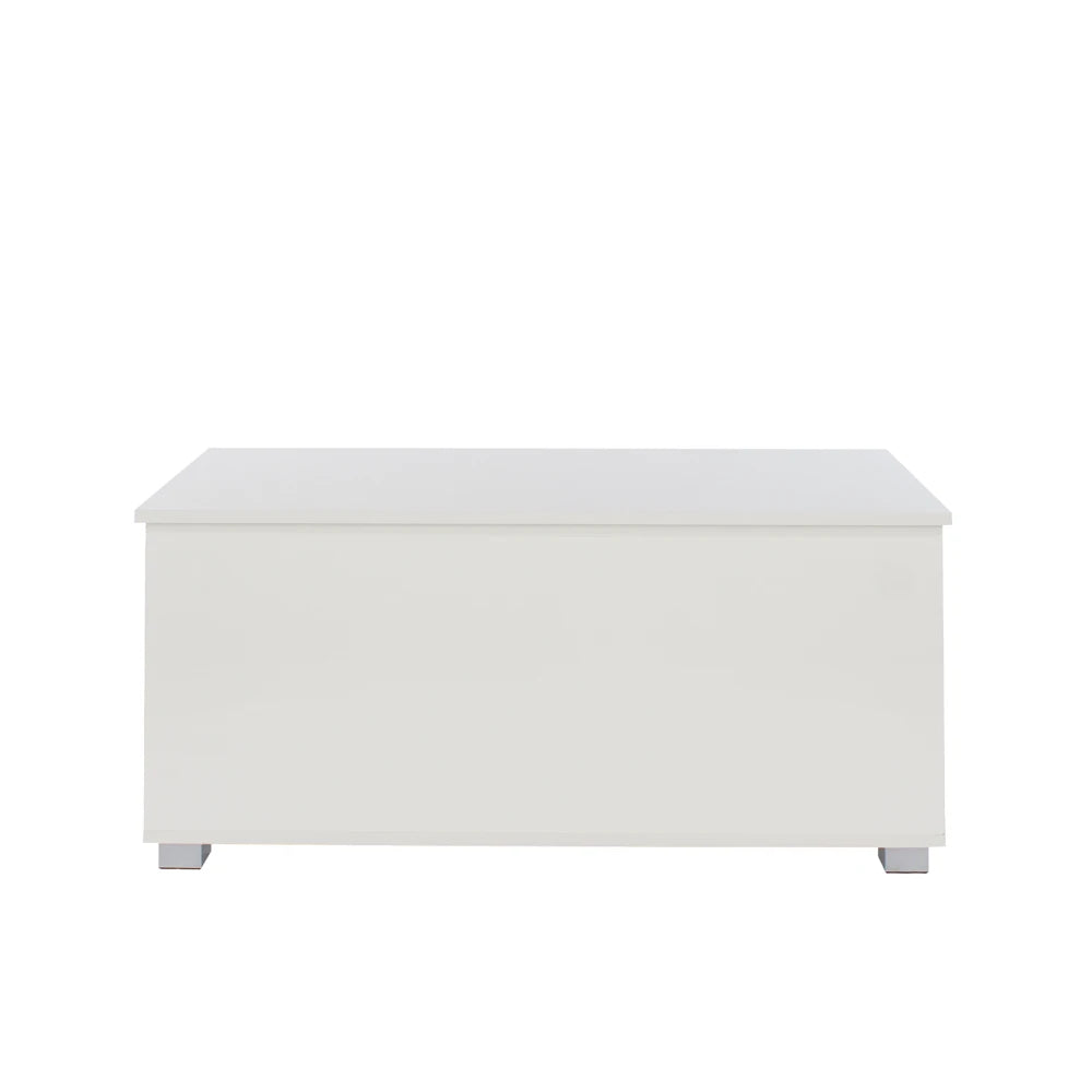 Core Products Lido Storage Trunk