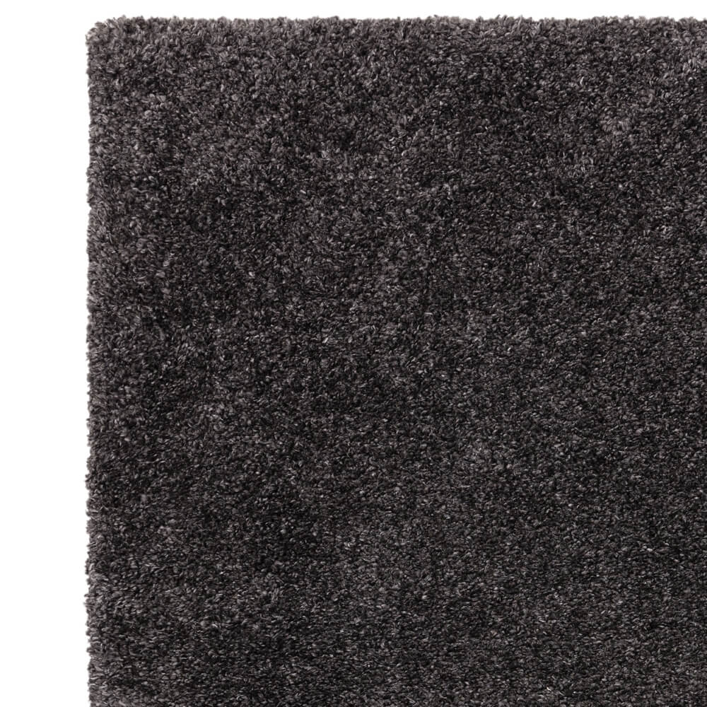Asiatic Ritchie Charcoal, Plain Rug